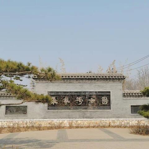 家门口的公园——张家湾公园