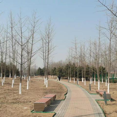 家门口的公园 —— 一座没有名字的马拉松公园