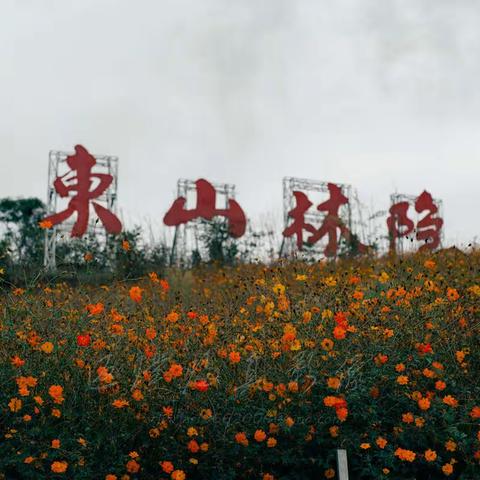 南山有个云端、东山有个林隐----记东山林隐