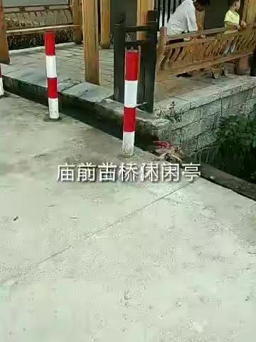 不怕尼姑和尚坐一凳