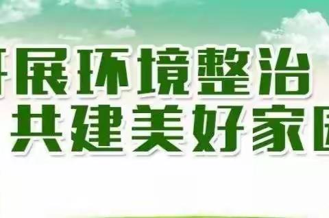 五一村开展“共建美好家园”农村人居环境卫生整治活动