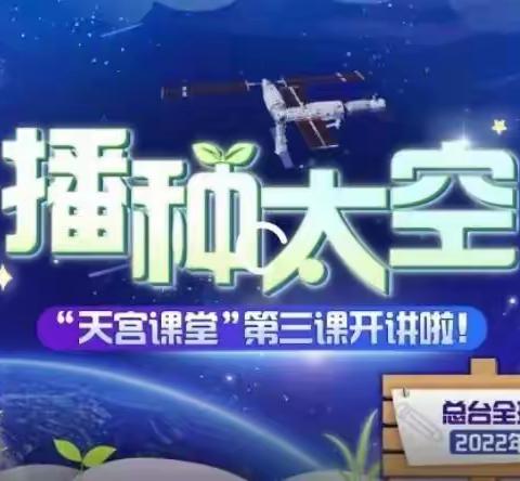 【喜迎二十大   启航新征程】灵武市第二小学组织学生收看天宫课堂第三课