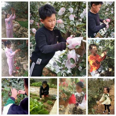 庆国庆  迎中秋——栖霞市大庆路学校三年级三班实践活动