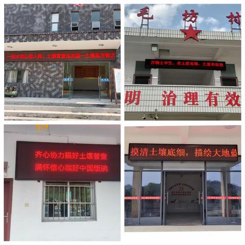 建宁县农业农村局开展第三次全国土壤普查宣传