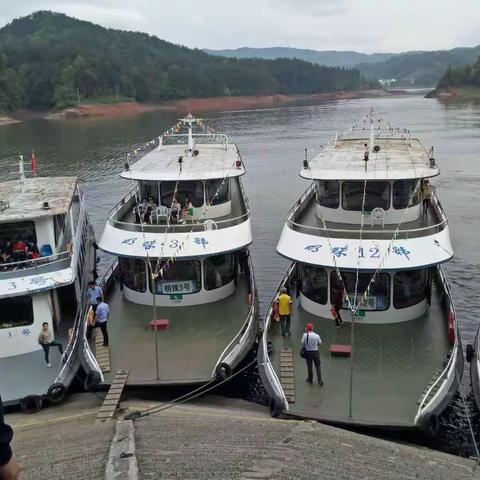 游大金湖