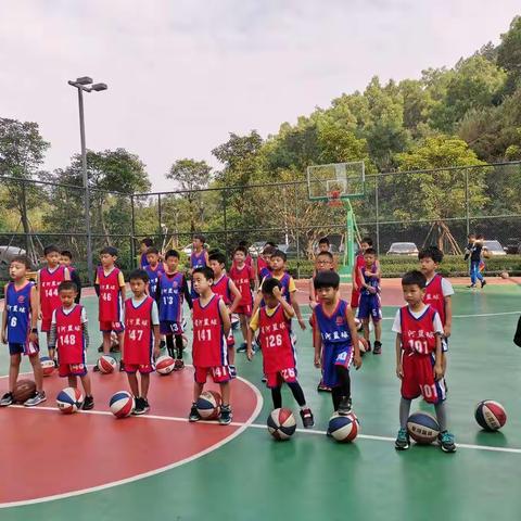 星河篮球🏀训练周六班