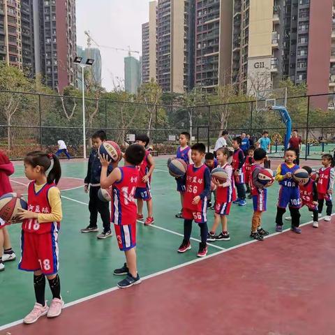 星河篮球🏀训练周日班