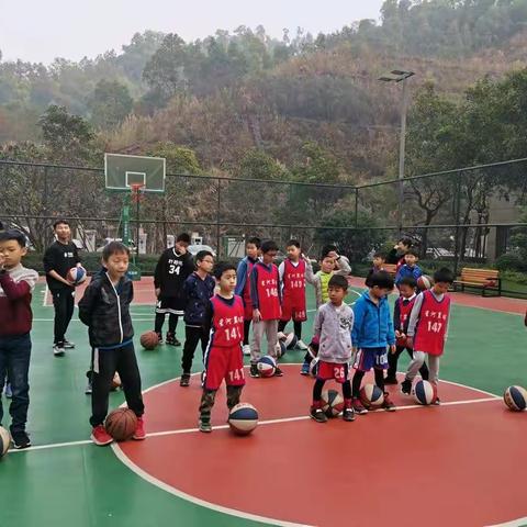 星河篮球🏀训练周六班