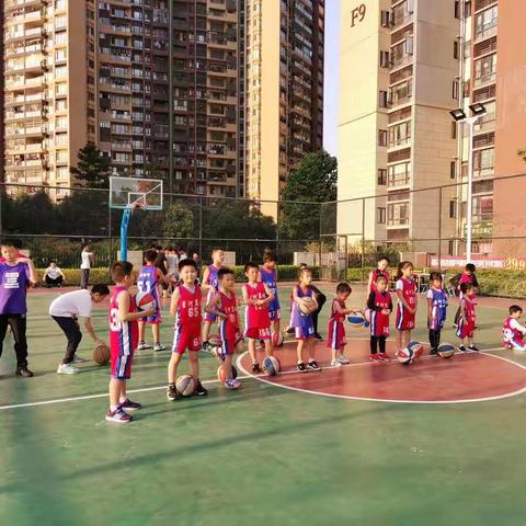 星河篮球🏀训练周日班