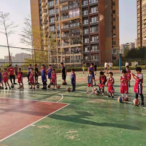 星河篮球🏀训练周日班