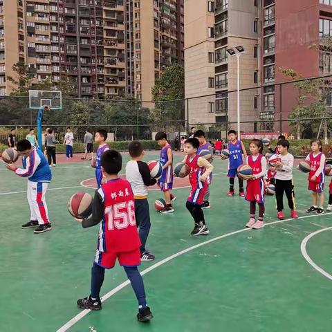 星河篮球🏀训练周日班