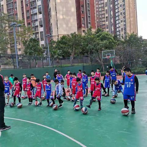 星河篮球🏀训练周六班