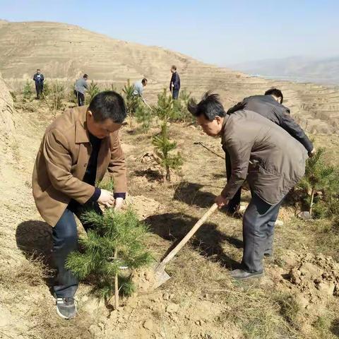 武山县教师进修学校参加义务植树活动