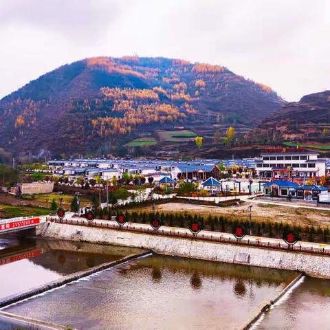 静赏杨河秋之韵