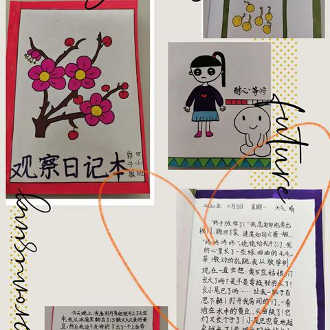 【习作动态2】徐水小学习作指导——写观察日记