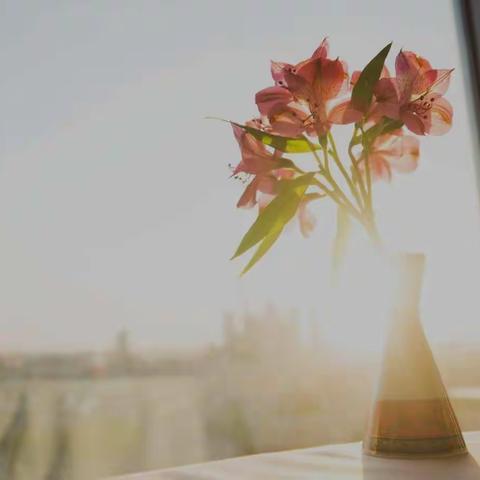 我的最美书屋－－“藏经阁”