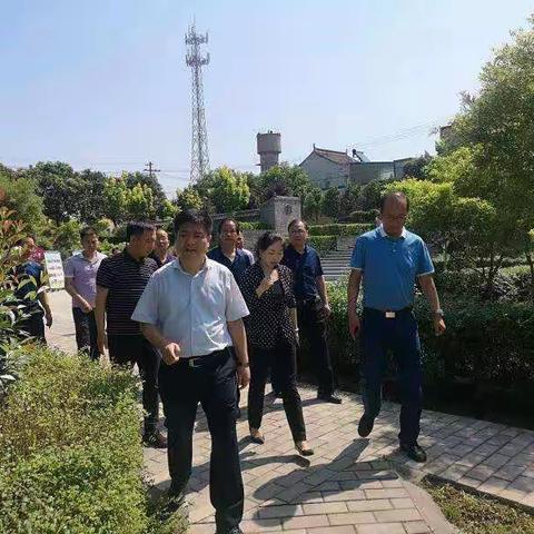 人居环境整治，建设美丽新南市