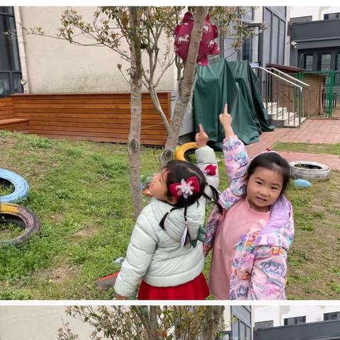 “趣”攀爬    “乐”其中——尹山湖实验幼儿园独墅湾分园小（1）班课程故事