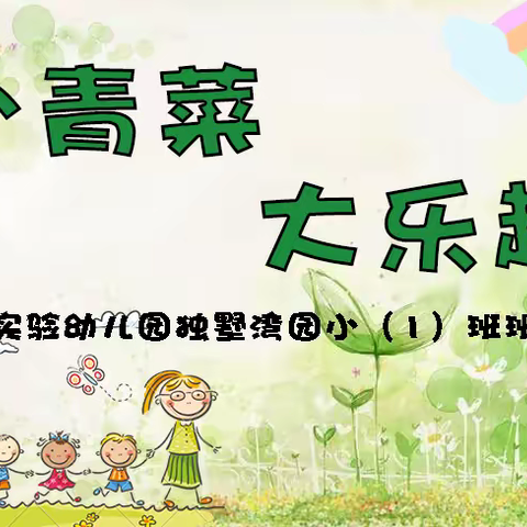 小青菜，大乐趣——尹山湖实验幼儿园独墅湾园小（1）班班本活动