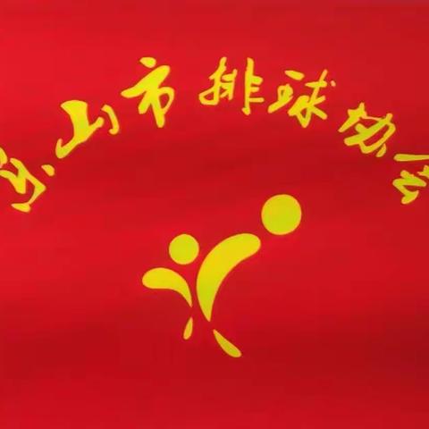 2019年乐山市排球协会活动留影