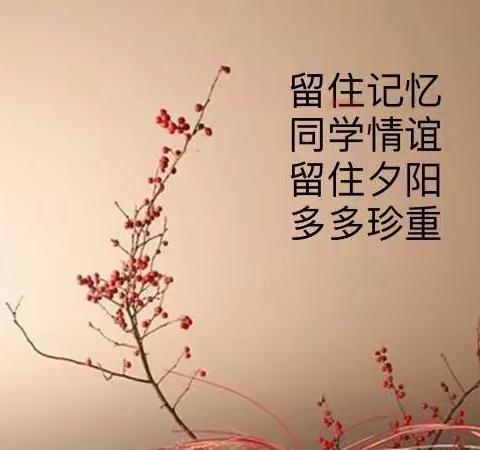 恰同学老年，风华依旧  y y —-296