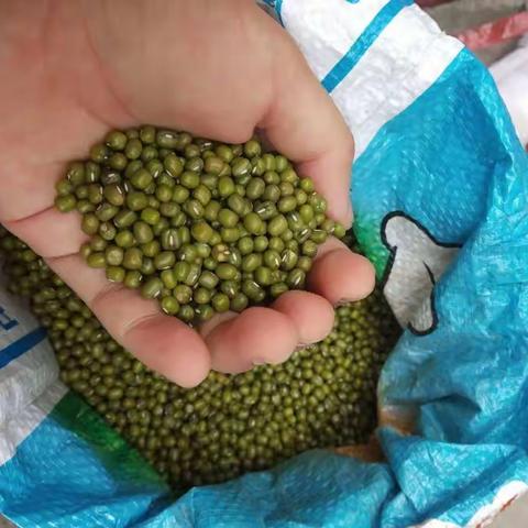 A。婞褔ｖīｐ的美篇