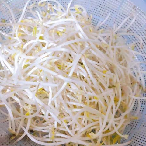 A。婞褔ｖīｐ的美篇