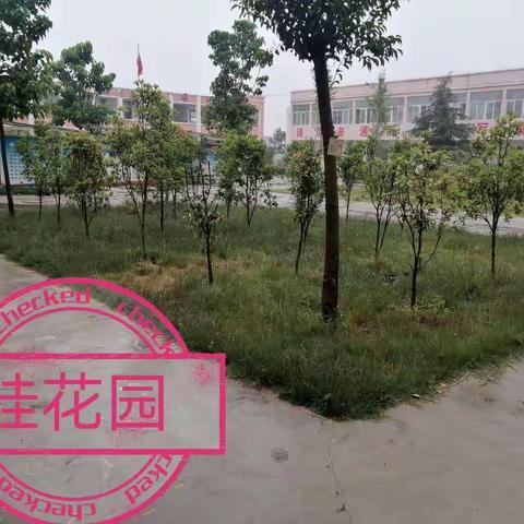 教师总动员 校园焕新姿———西街小学全体教职工参加开学前大扫除活动