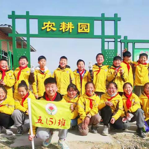 五色德育｜青阳小学五（5）中队“开荒种地真实践，劳动体验乐趣多”社会实践活动