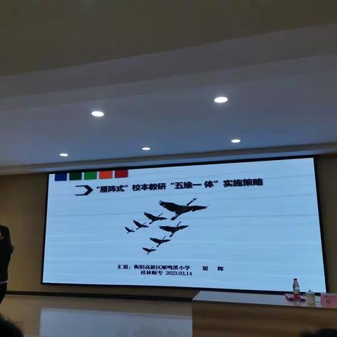 雁文化        领前行