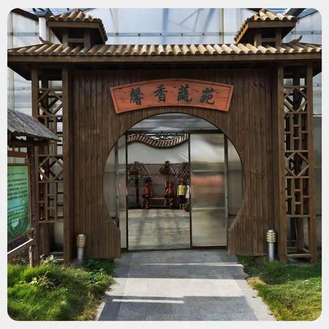 室内菜园——“馨香蔬苑”