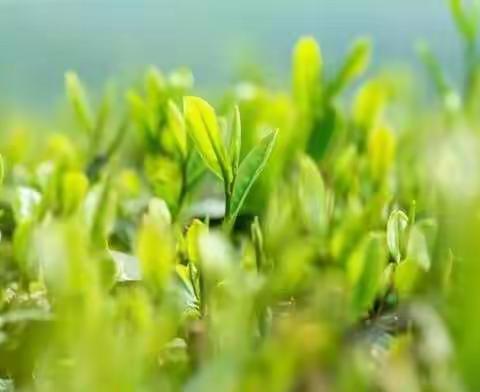 磨砺•成长•出彩—册山街道办事处中心小学青年教师课堂教学展示活动暨青年教师过关课