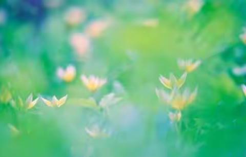 【方正教育】望闻问切做教研，学思研讨促成长 ——册山中心小学第七单元集体备课暨新课标学习成果交流活动