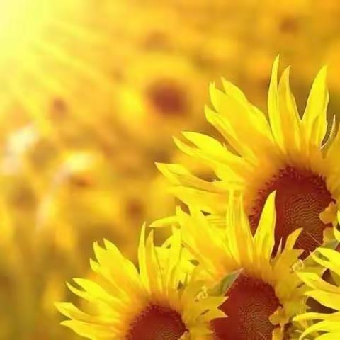 【方正教育】微光点点，聚而成炬 ——册山街道办事处中心小学云课堂阶段小结