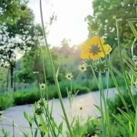 【方正教育】乐学嘉年华之二年级语文趣味综合素养展示活动