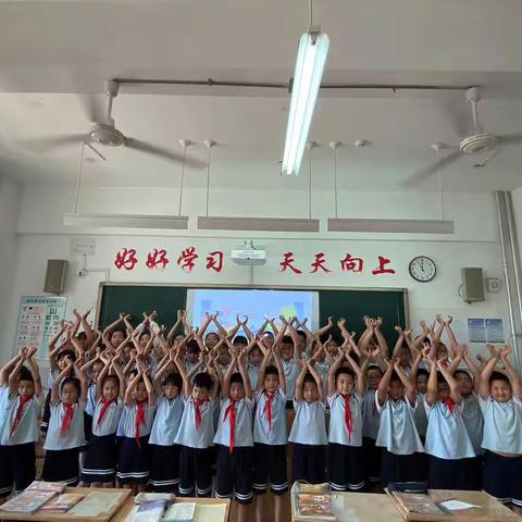 迎着阳光 茁壮成长——古城小学四年级六班