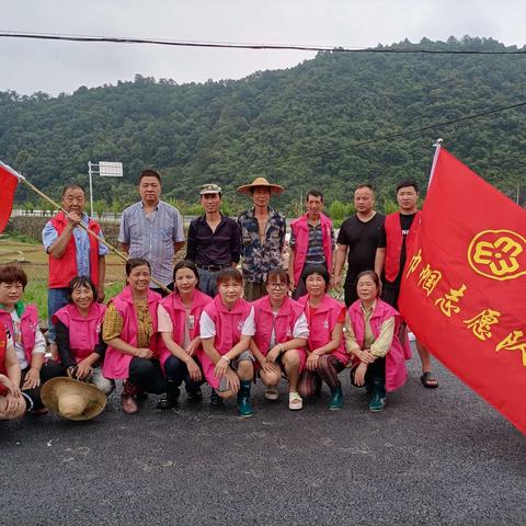 泗洲村巾帼志愿者庆祝《建党一百周年》“耕地非粮化”插秧活动