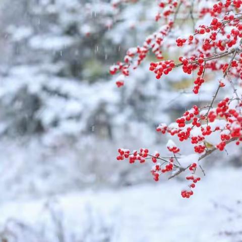 景刘庄完小“冰雪激情”