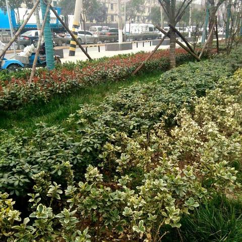 垃圾不落地，浐河更美丽！ 东城一小 四年级八班 王裕泽