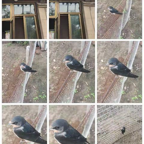 节气与生活——处暑