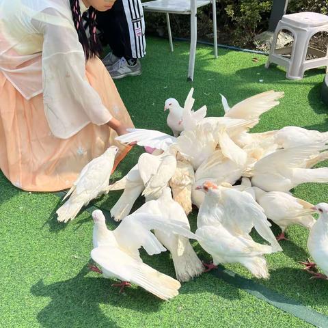 难忘的国庆假期