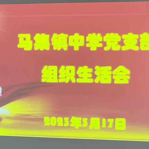 马集镇中学党支部组织生活会