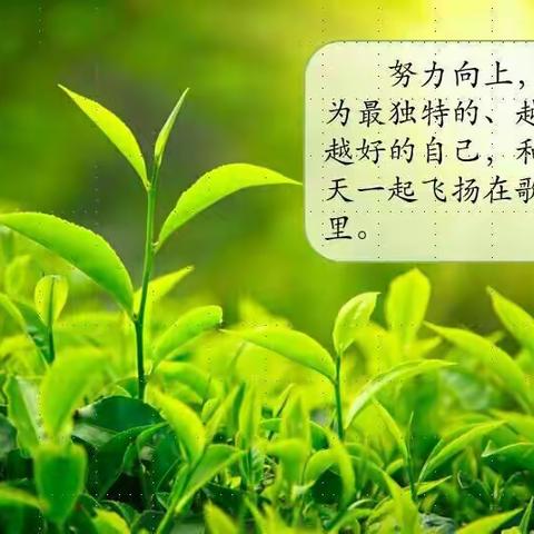 春播时节，忙中取乐