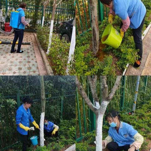 华保盛集团云计算中心2020年12月工作月报