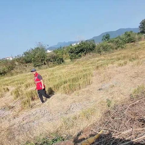 板桥镇下园村网格员开展耕地利用情况图斑外业核查工作