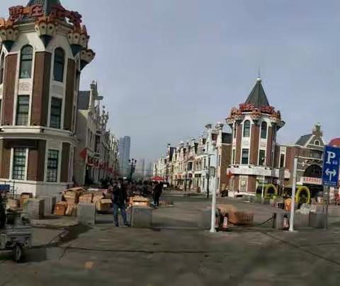 逛曹庄子花卉市场