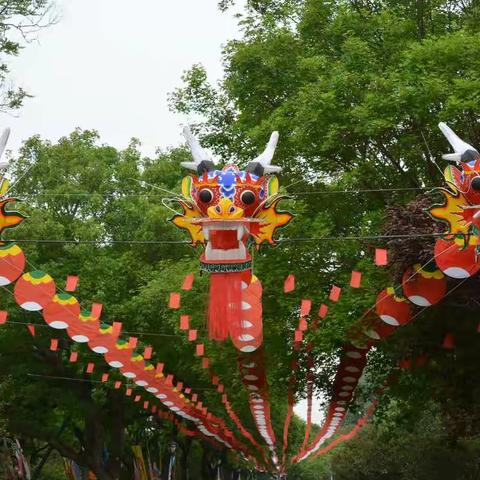 畅游陶然放飞梦想