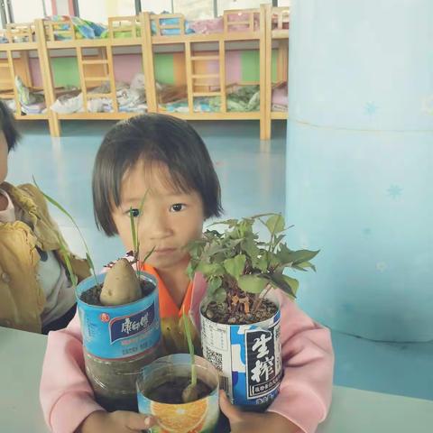 大班学前班的家长注意查看信息了，主题是《我种的植物发芽了。》