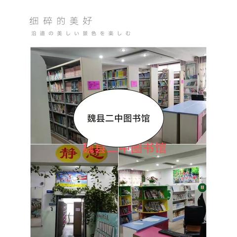 让阅读成为学生学习的灵魂