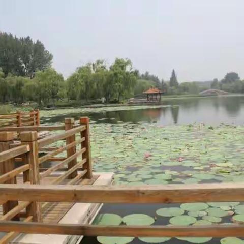 夏季月波湖